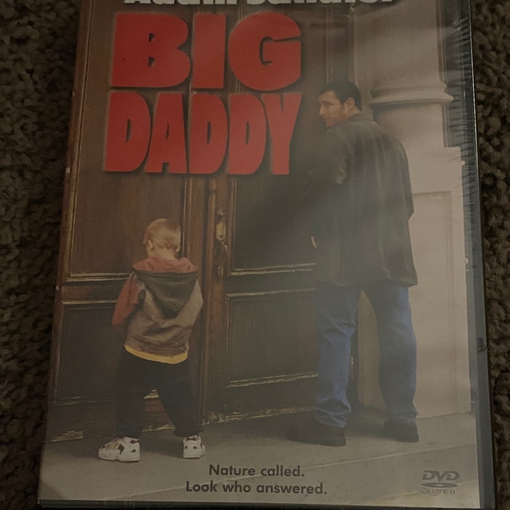 Big Daddy DVD